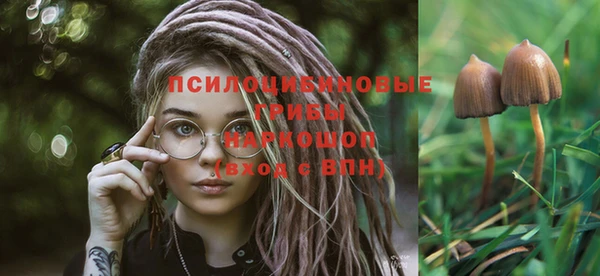 COCAINE Богданович